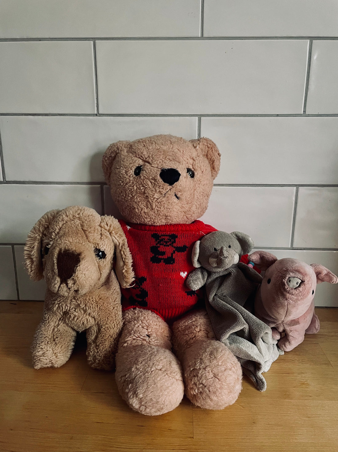 The Teddy Bear Factor