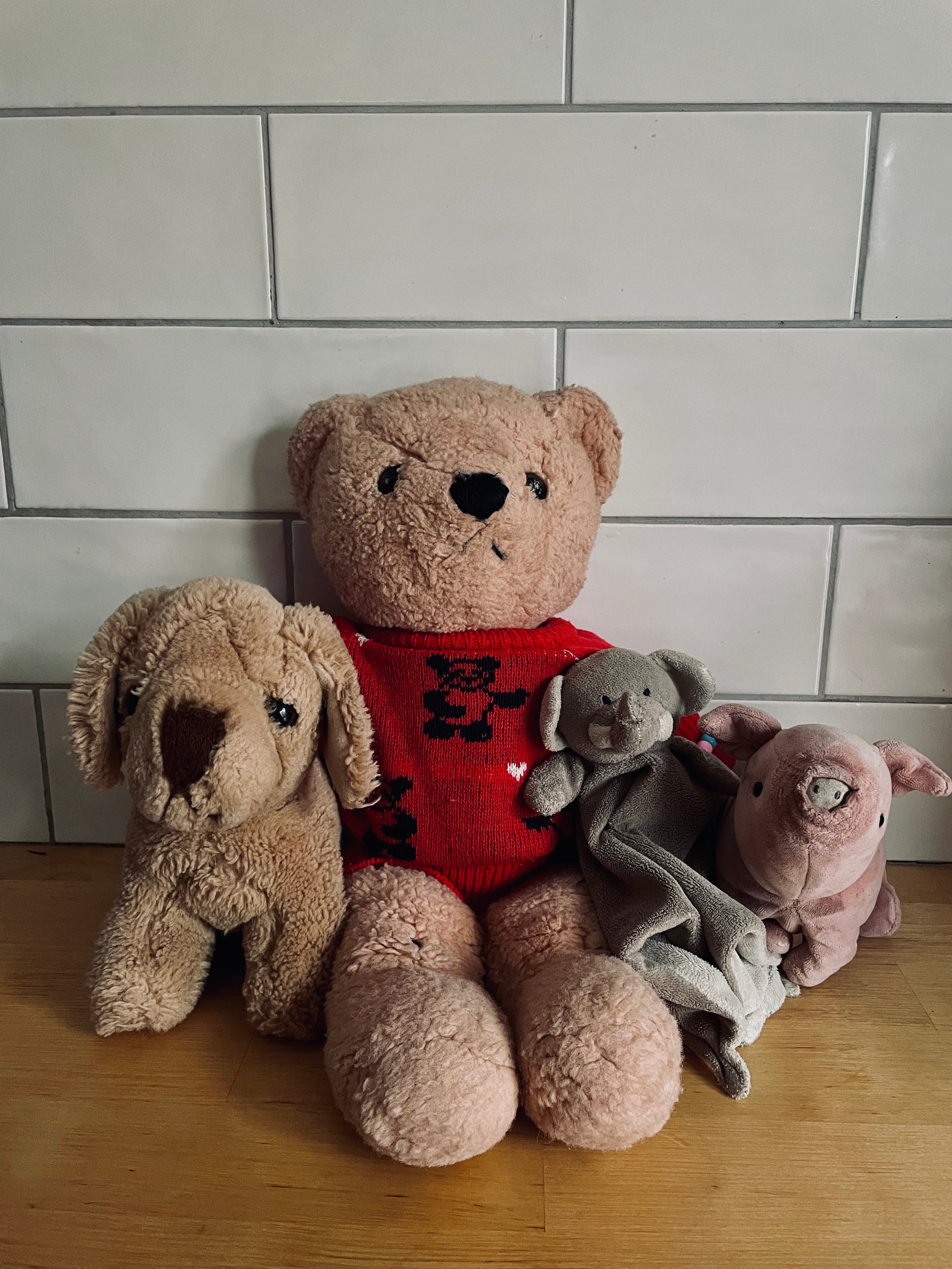 The Teddy Bear Factor