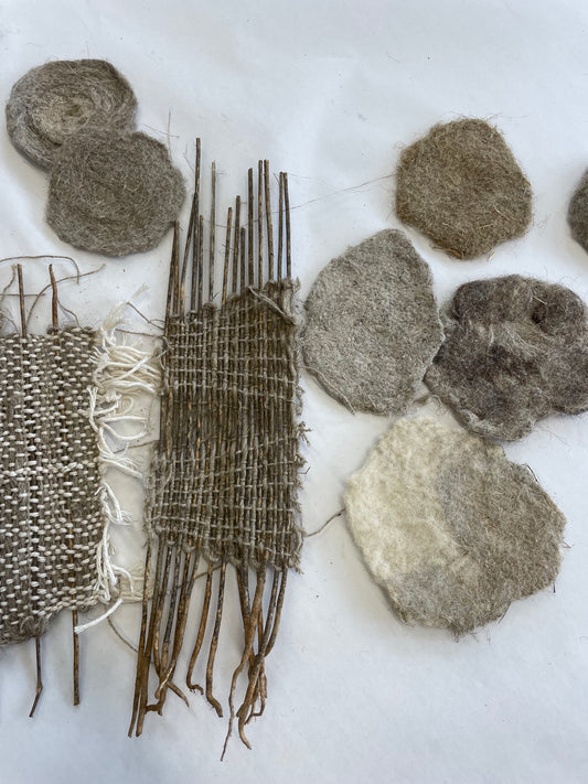 From Flax to Linen - A Journey Shared at Edinburgh College of Art